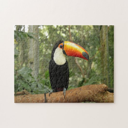 Puzzle Toucan sur branche d'arbre (Horizontal)