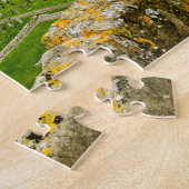 Puzzle Tour de la cathédrale écossaise St Andrews (Côté)