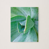 Puzzle Tourbillon Succulent (Vertical)