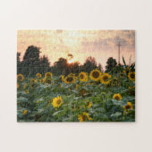 Puzzle Tournesol (Horizontal)