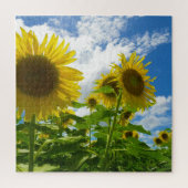 Puzzle Tournesol (Vertical)