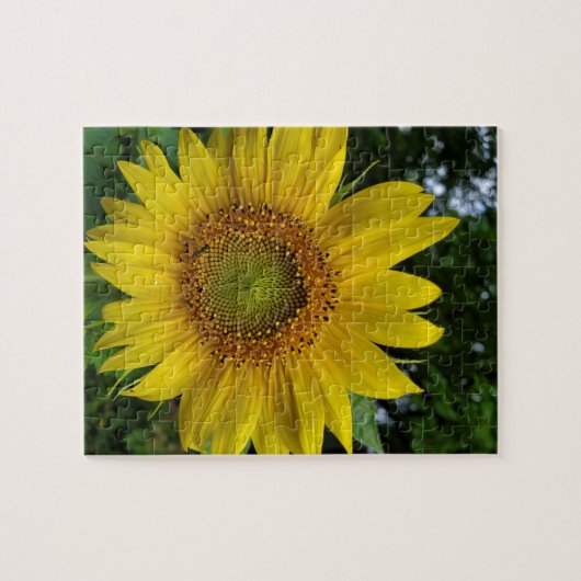 Puzzle Tournesol (Horizontal)