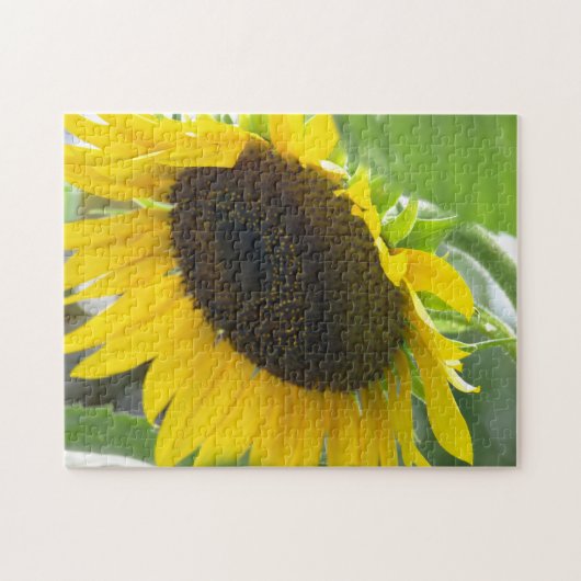 Puzzle Tournesol (Horizontal)