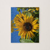 Puzzle Tournesol (Vertical)