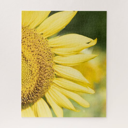 Puzzle Tournesol (Vertical)