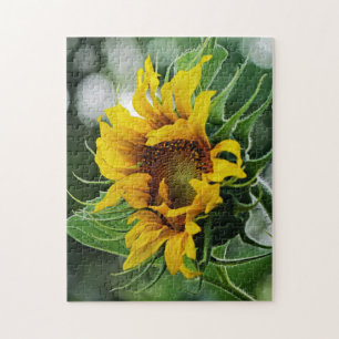 Puzzle Tournesol