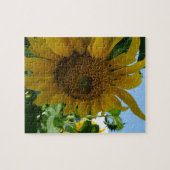 Puzzle Tournesol (Horizontal)