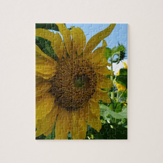 Puzzle Tournesol (Vertical)
