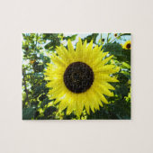 Puzzle tournesol (Horizontal)