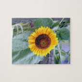 Puzzle tournesol (Horizontal)