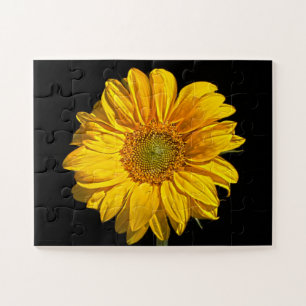 Puzzle Tournesol 11x14 jpcna 30pc