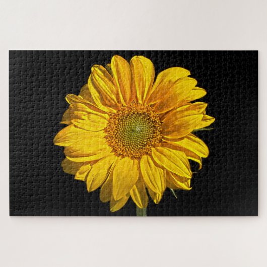 Puzzle Tournesol 20x30 1014pc jpa (Horizontal)