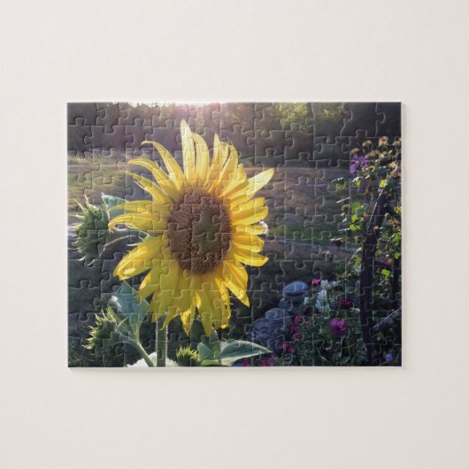 Puzzle tournesol au coucher du soleil — (Horizontal)
