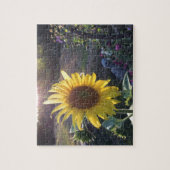 Puzzle tournesol au coucher du soleil — (Vertical)