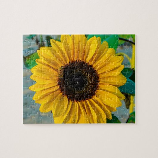 Puzzle Tournesol avec abeille (Horizontal)