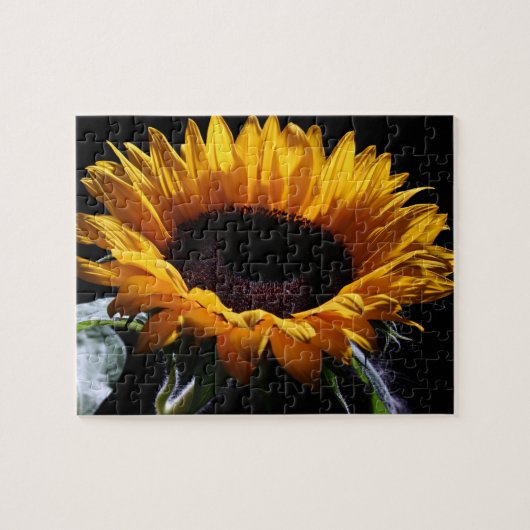 Puzzle Tournesol en studio 1 (Horizontal)