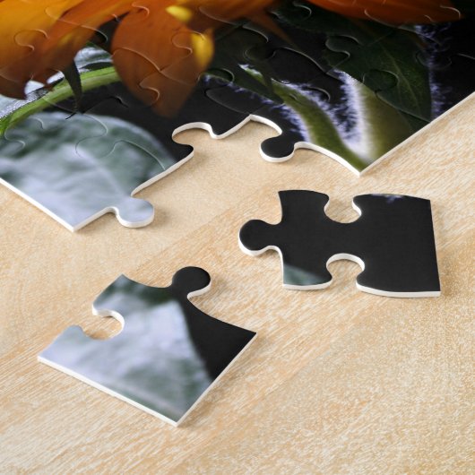 Puzzle Tournesol en studio 1 (Côté)