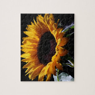 Puzzle Tournesol en studio 1