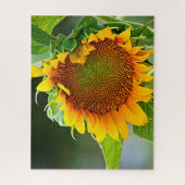 Puzzle Tournesol géant (Vertical)
