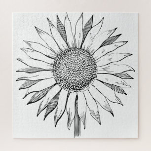 Puzzle Tournesol illustré