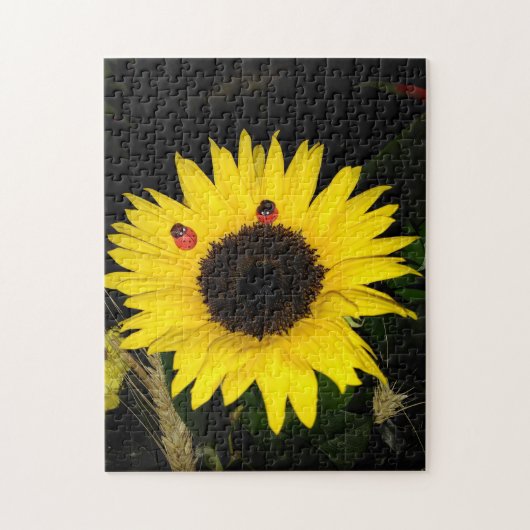 Puzzle Tournesol Jaune Et Deux Ladybugs (Vertical)