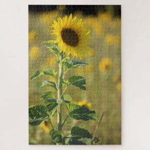 Puzzle Tournesol jaune simple