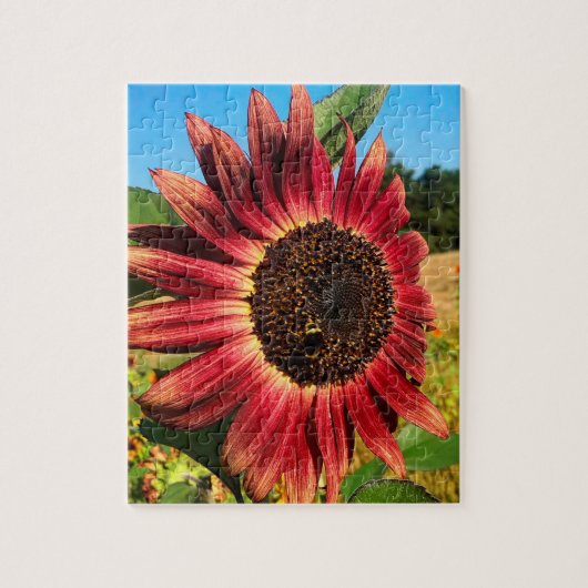 Puzzle Tournesol rouge avec abeille (Vertical)