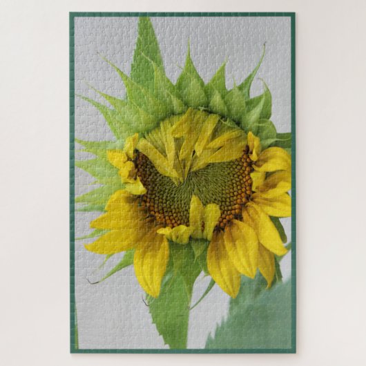 Puzzle Tournesol "Timide" (Vertical)