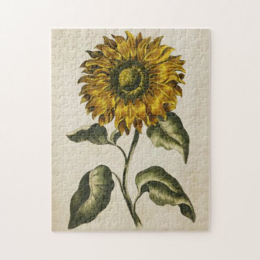 Puzzle Tournesol végétal vintage (Vertical)