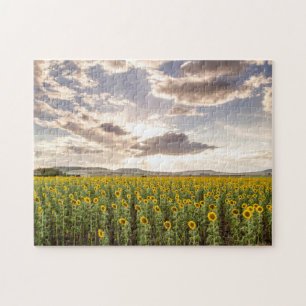 Puzzle Tournesols au coucher du soleil