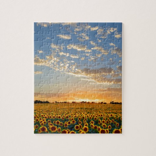 Puzzle Tournesols au coucher du soleil (Vertical)