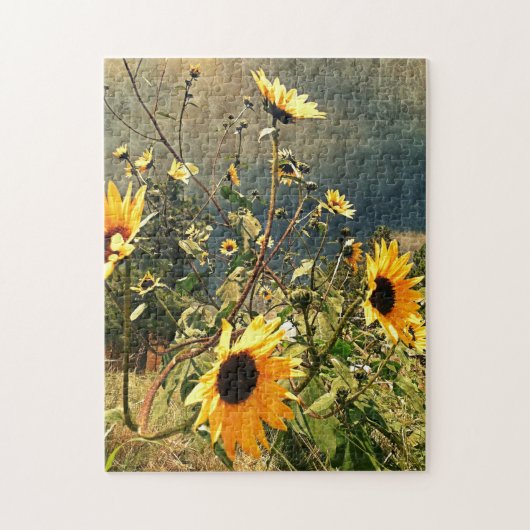Puzzle Tournesols Avant La Tempête Photo (Vertical)