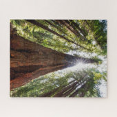 Puzzle Tours des séquoias (Horizontal)