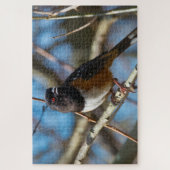 Puzzle Towhee tachetée (Vertical)