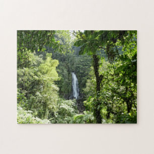 Puzzle Trafalgar Falls Tropical Rainforest Photographie