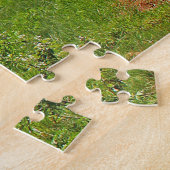 Puzzle Train 40 (Côté)