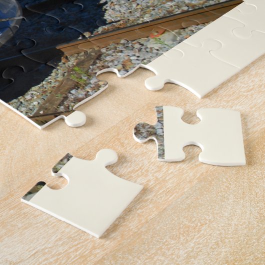 Puzzle Train local de SNCF (Côté)