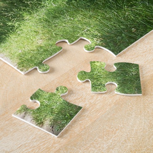 Puzzle traînée appalachienne (Côté)