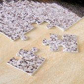 PUZZLE TRAINS À VAPEUR (Côté)