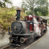 PUZZLE TRAINS À VAPEUR