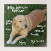 Puzzle Traits de Labrador Retriever Jaune Jeu (Vertical)