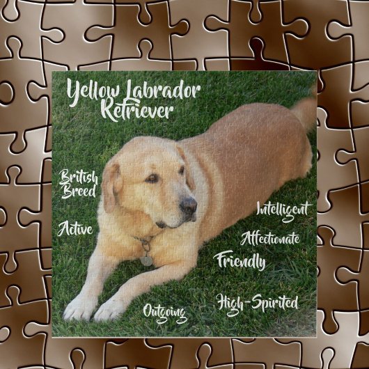 Puzzle Traits de Labrador Retriever Jaune Jeu