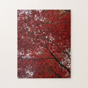 Puzzle Tree Fall Season Red Brown Autumn Leaves