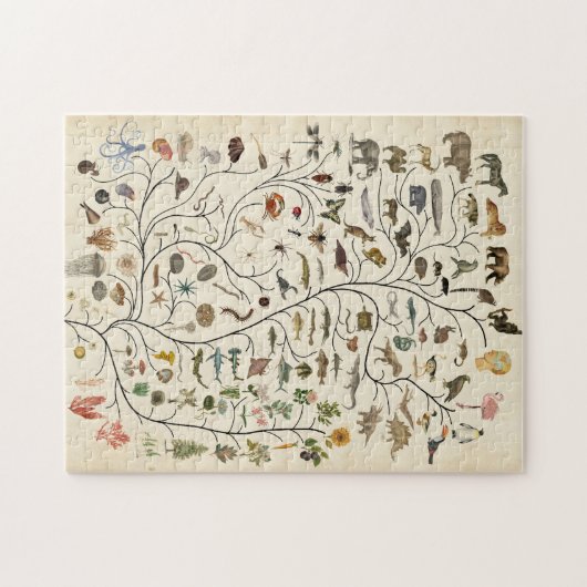 Puzzle Tree of Life (Horizontal)