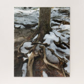 Puzzle Tree With Exposed Roots and Snow (Vertical)