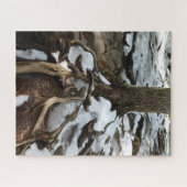 Puzzle Tree With Exposed Roots and Snow (Horizontal)