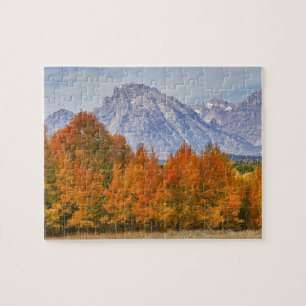 Puzzle Trembles avec la chaîne de montagnes Teton