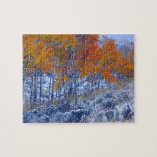 Puzzle Trembles en couleurs d'automne, Montagnes Bighorn,