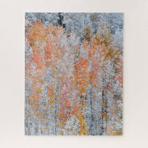 Puzzle Trembles et neige Montagnes Rocheuses, Colorado