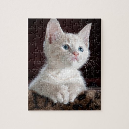 Puzzle Très Mignon Chat Blanc (Vertical)